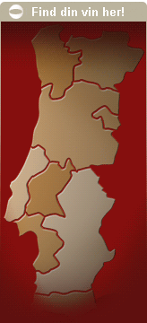 mini-map